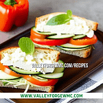 veggie and hummus sandwich