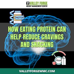 Protein to reduce cravings