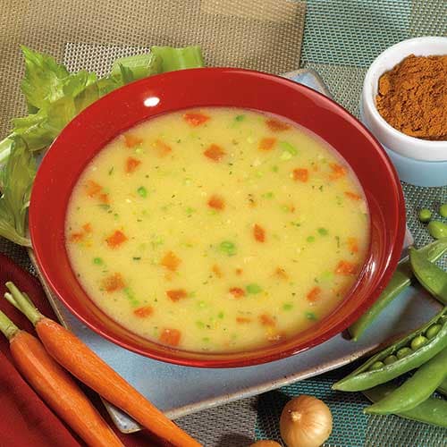 Cream of Chicken Flavored Soup with Vegetables