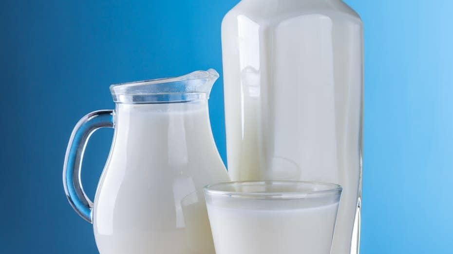 dairy - get extra protein without eating meat