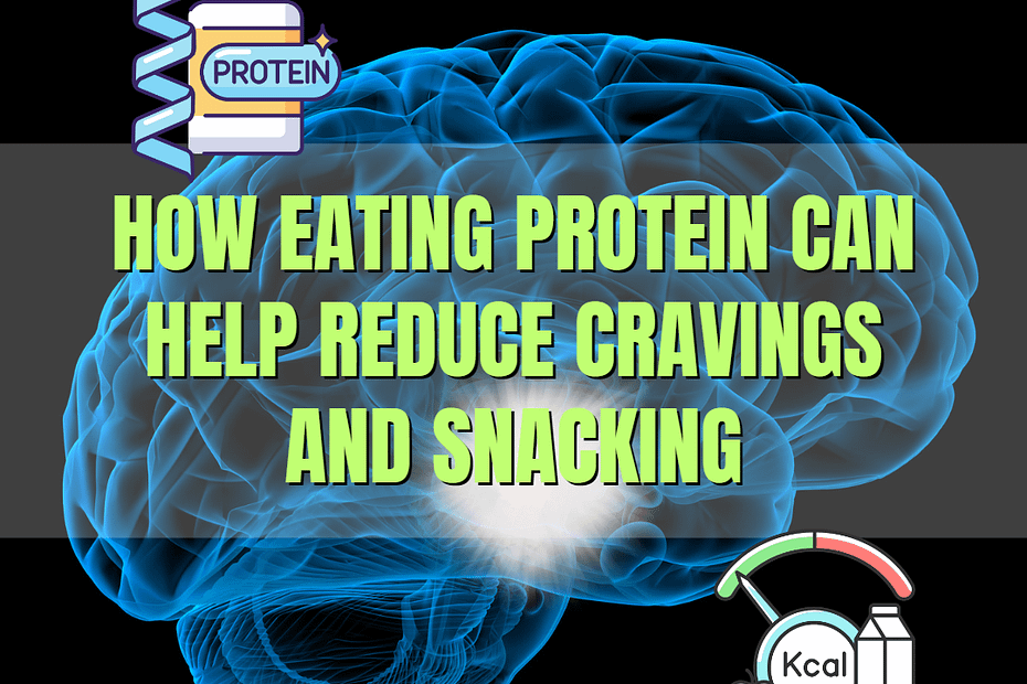 Protein to reduce cravings